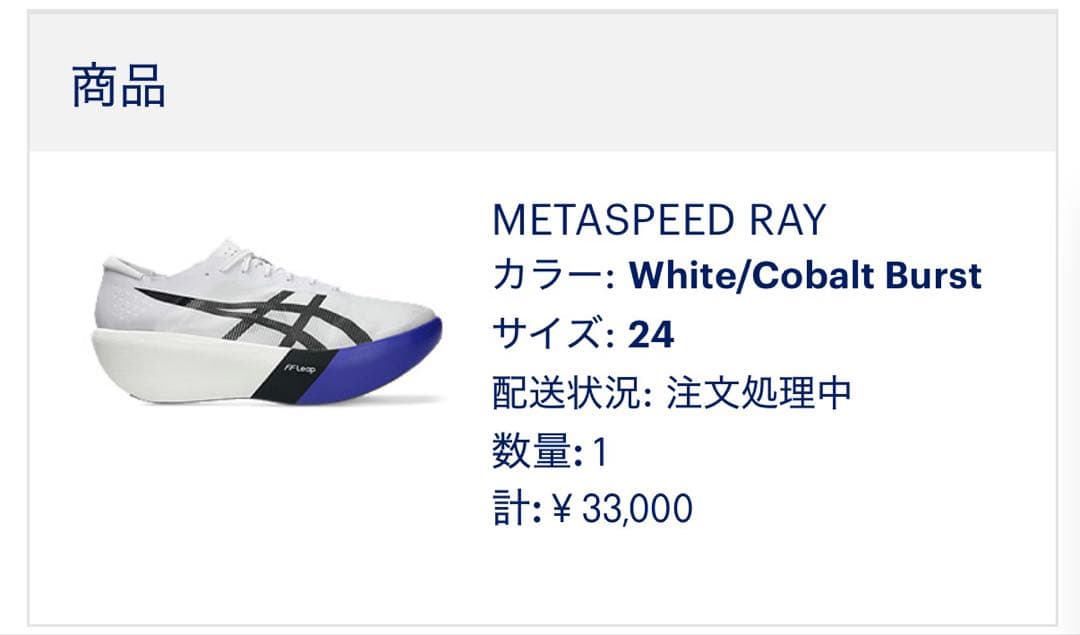 メタスピードレイ 24cm