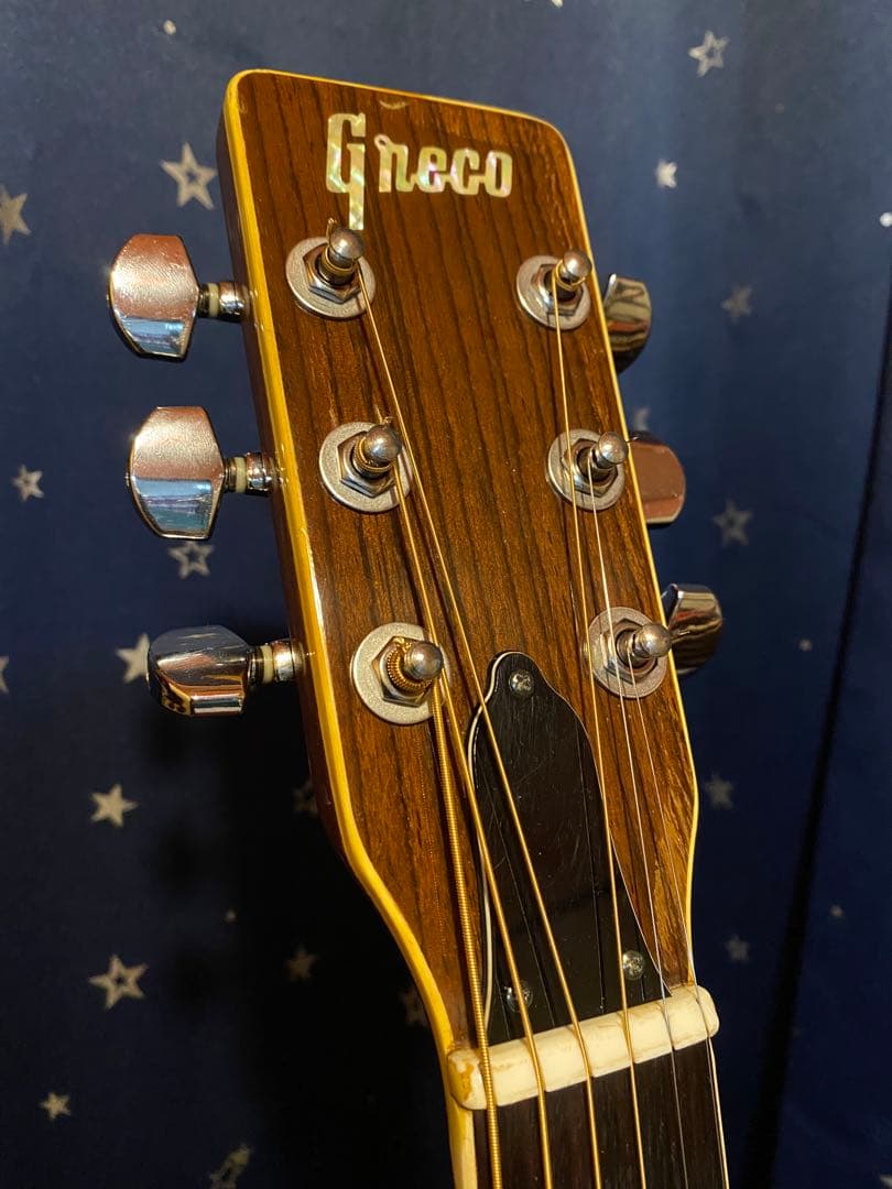 Greco F200 (エレアコ仕様)