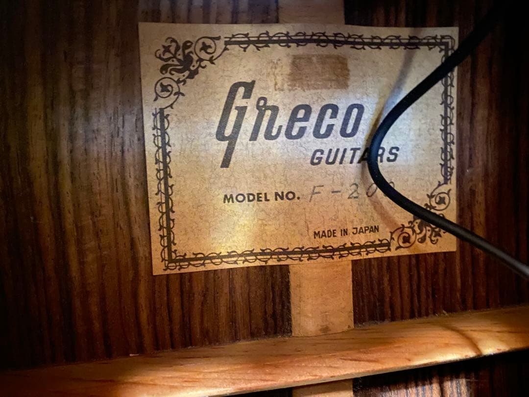 Greco F200 (エレアコ仕様)