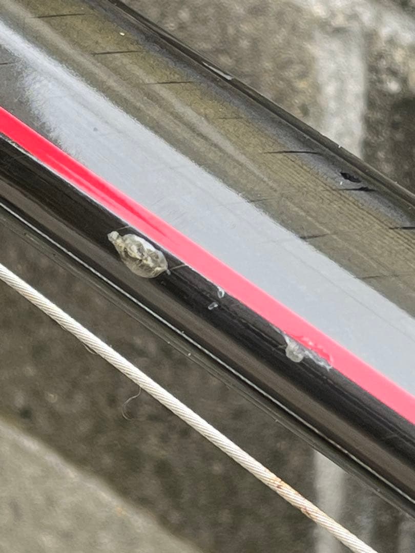 anchor RFX8 Equipe 限定カラー 49 105（10s）カーボン