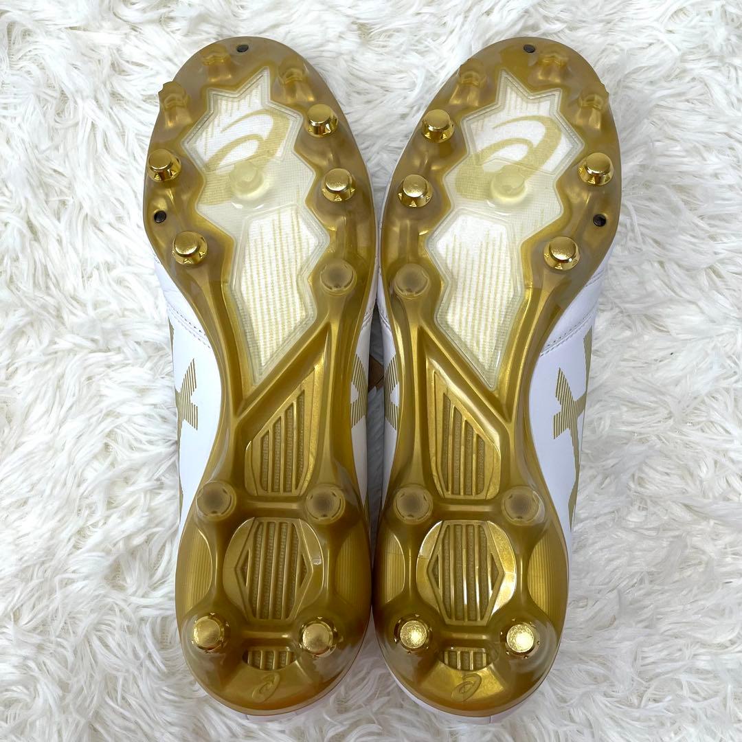 新品 アシックス 27.5cm DS ライト X-FLY PRO ST 限定色