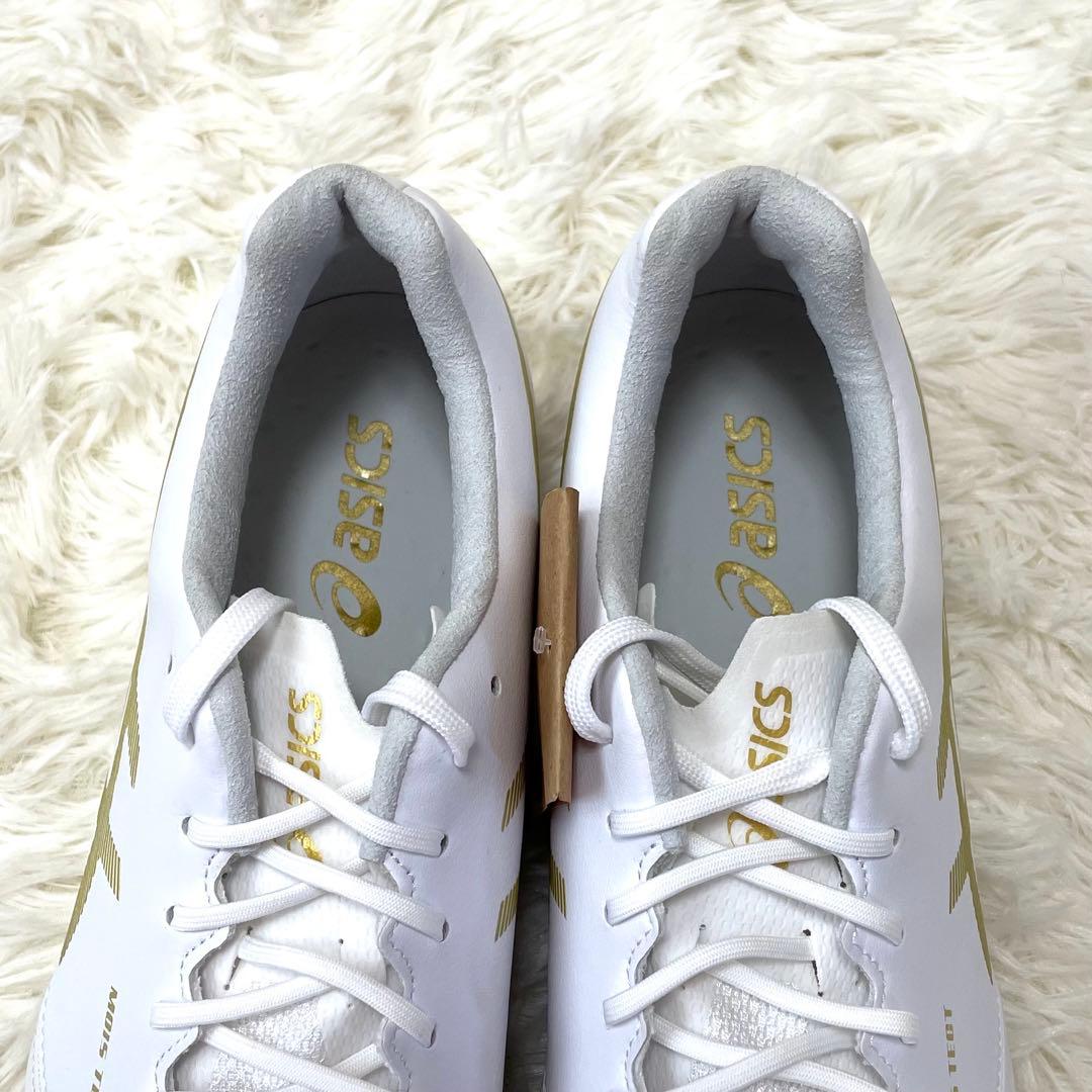 新品 アシックス 27.5cm DS ライト X-FLY PRO ST 限定色