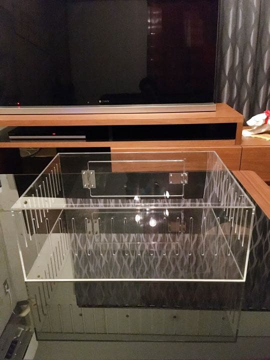 爬虫類ゲージ アクリルゲージ 【 No.1 】