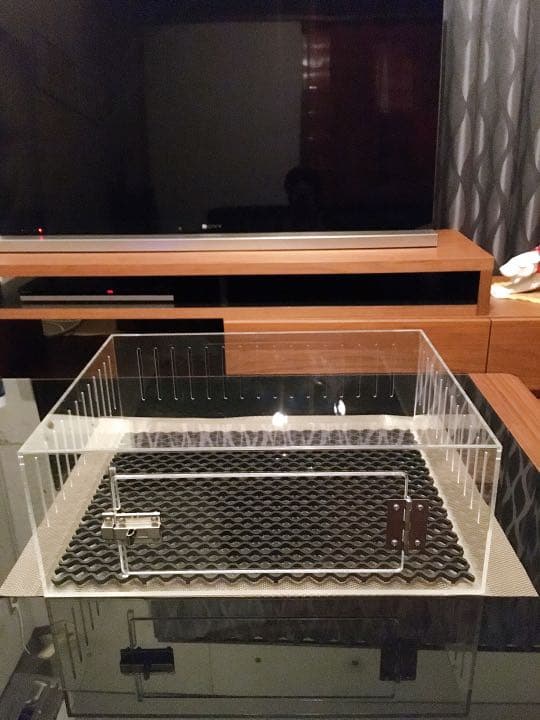 爬虫類ゲージ アクリルゲージ 【 No.1 】