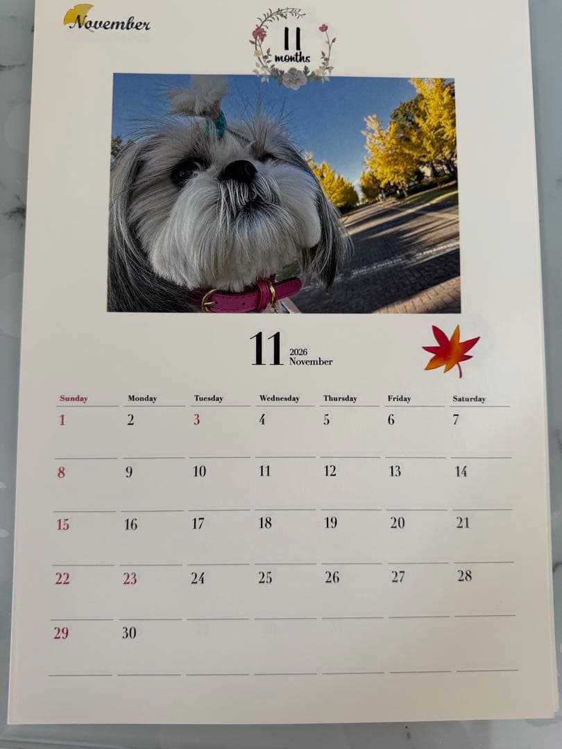 愛犬ちくわ壁掛けカレンダー【オリジナル】