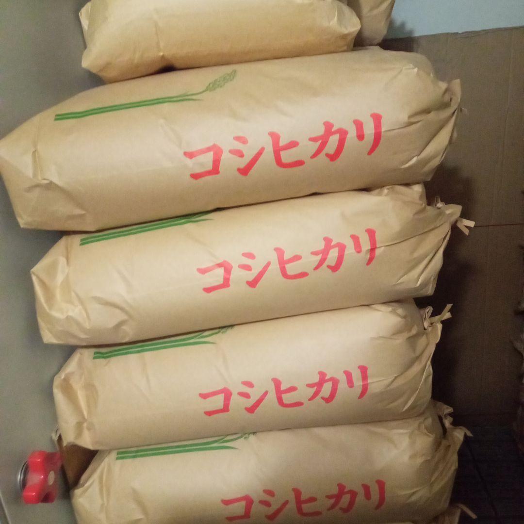 R7年産 新米 群馬県産 コシヒカリ 20キロ 玄米 送料込 ②
