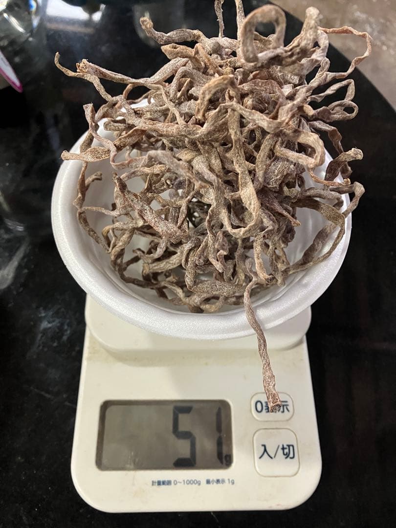 干しゼンマイ（塩仕込み）5kg