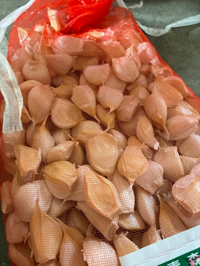 新物　青森県にんにく5Kg MLタネおすすめ