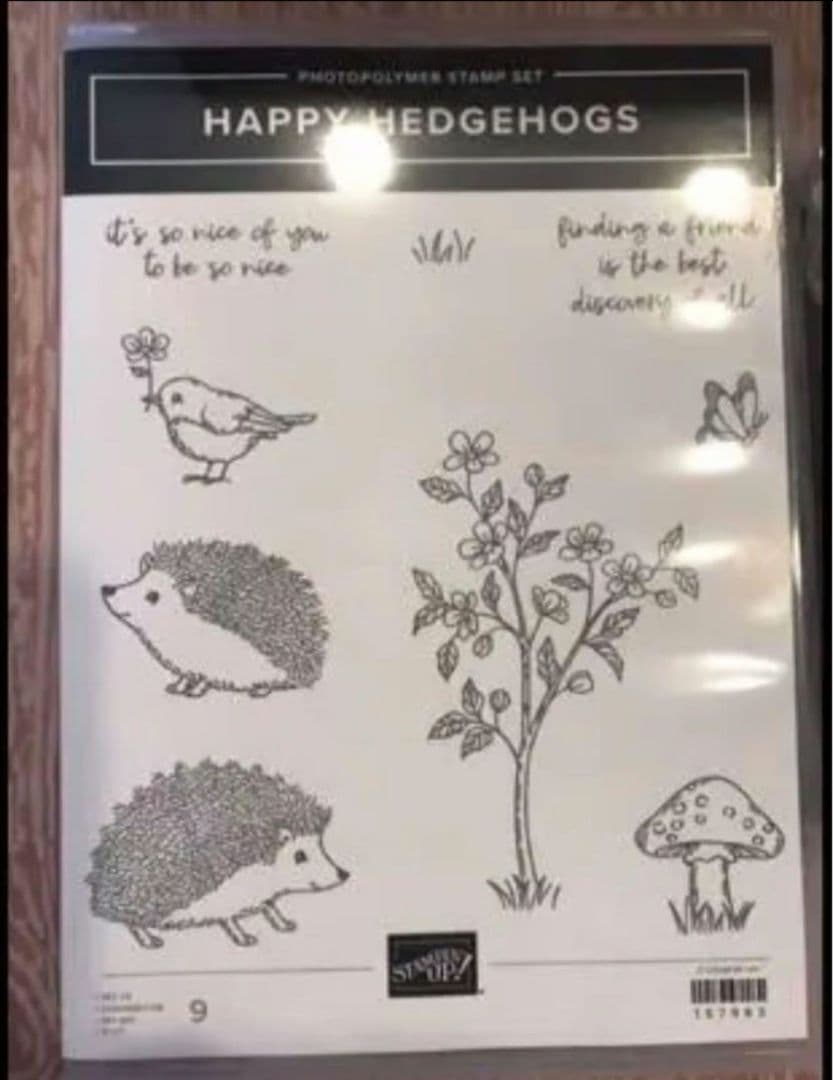未使用　スタンピンアップ　happy hedgehogs セット