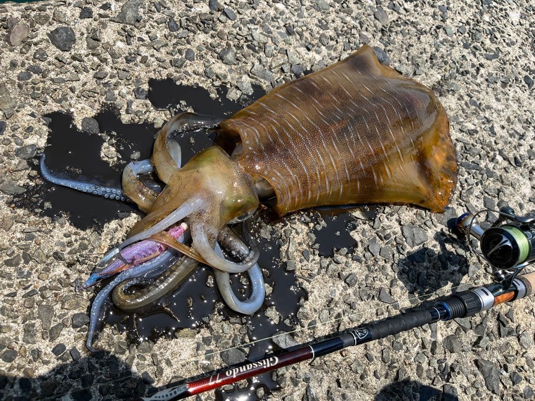 22ステラ C2000SHG 夢屋スプール・リブレハンドル付き