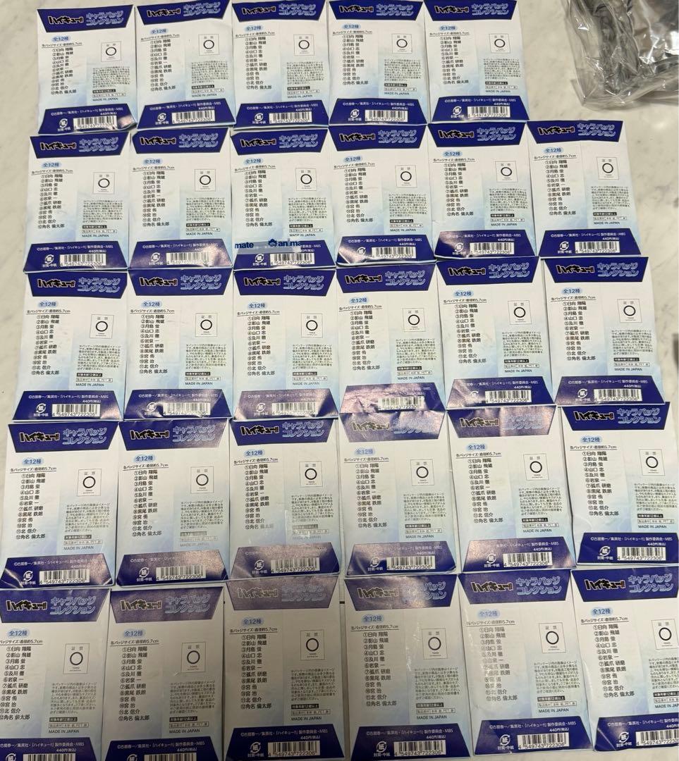 ハイキュー‼　水遊び　キャラバッジコレクション　缶バッジ　29個