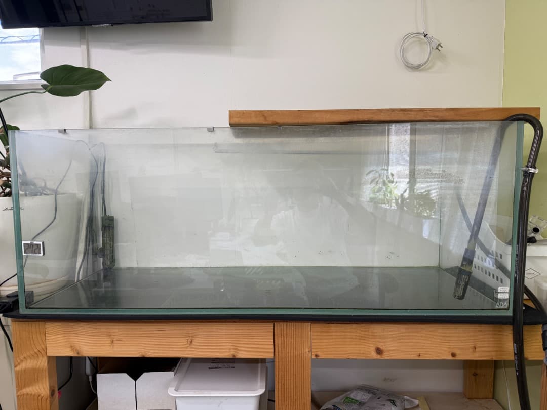 ほ*ち様 SDA水槽　EHEIMセット