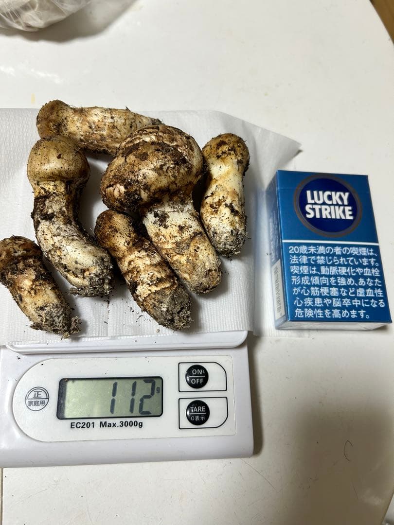 極上広島県産松茸112g