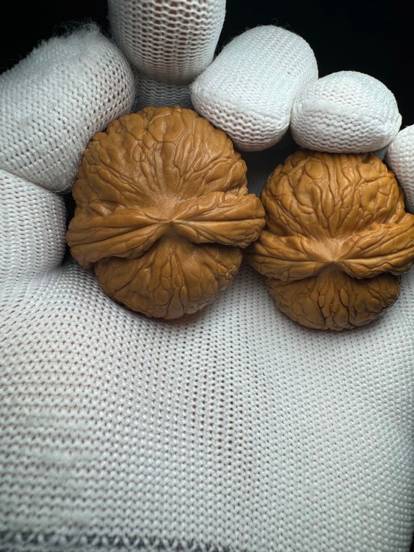 遊び胡桃 40元宝極太稜(無修正)