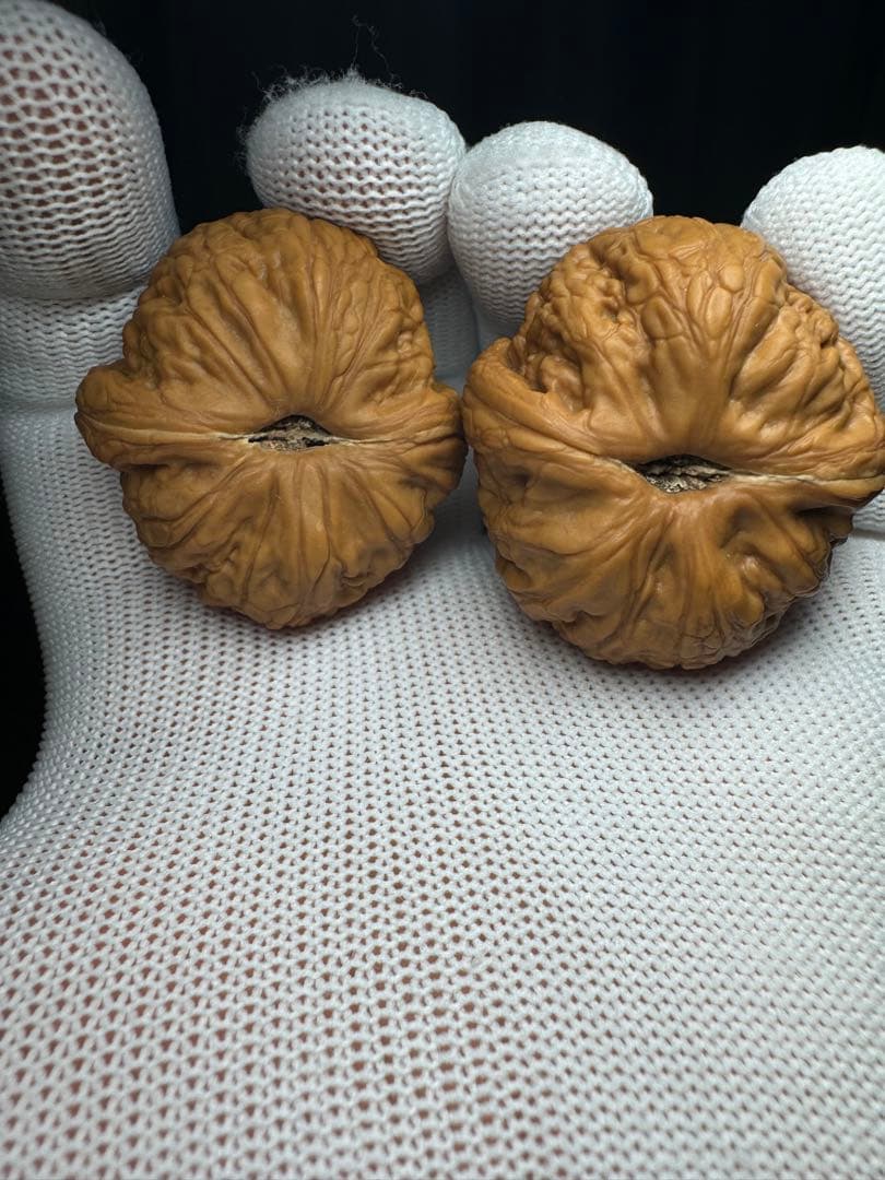 遊び胡桃 40元宝極太稜(無修正)