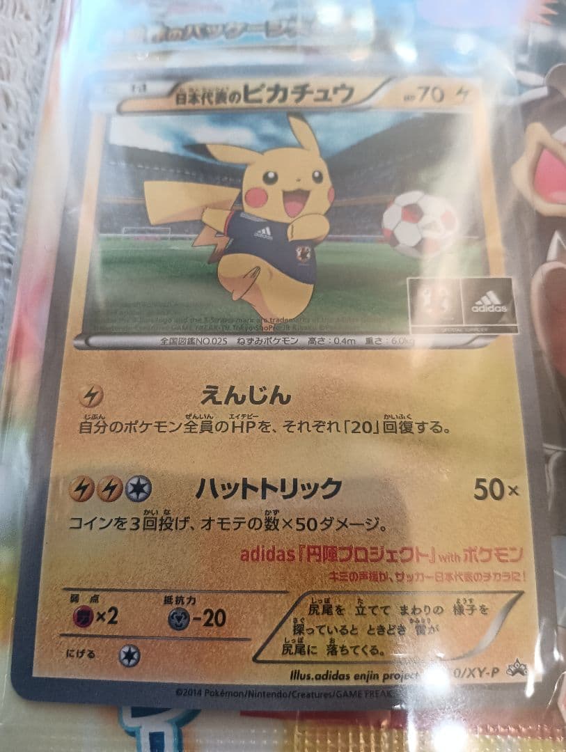 【新品未開封、冊子付き】日本代表のピカチュウ ポケモンNewモン! Book付録