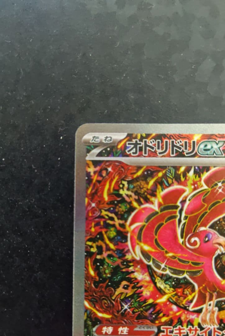 メガリザードンX ex オドリドリex