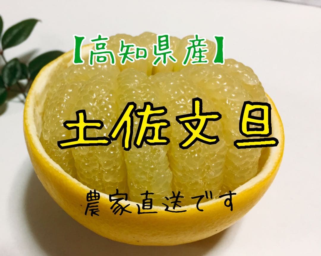 takachocono1ページ ☆文旦【高知県産】家庭用中玉10kg×2箱