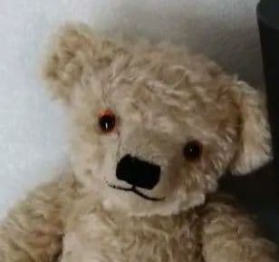 メリーソート　テディベア　メールベア