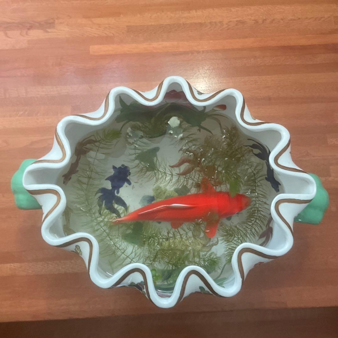 花と果物の装飾 陶器の水鉢、手描き、シノワズリ