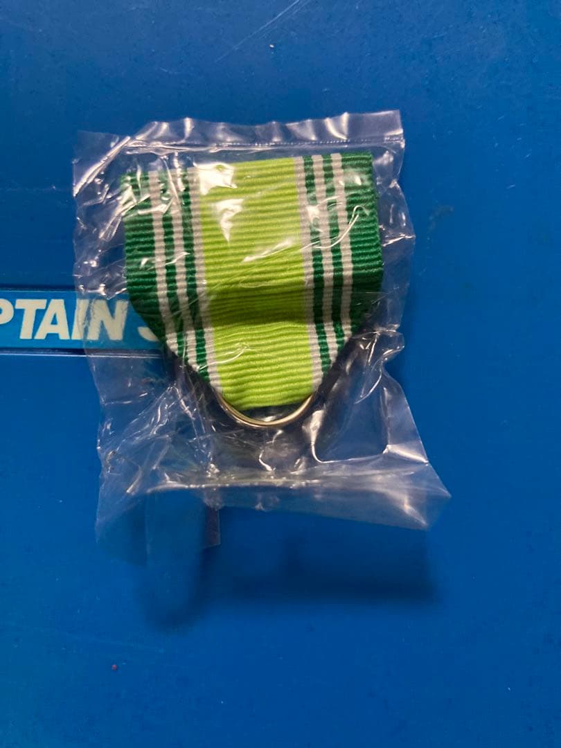 自衛隊　災害派遣　東日本大震災の勲章