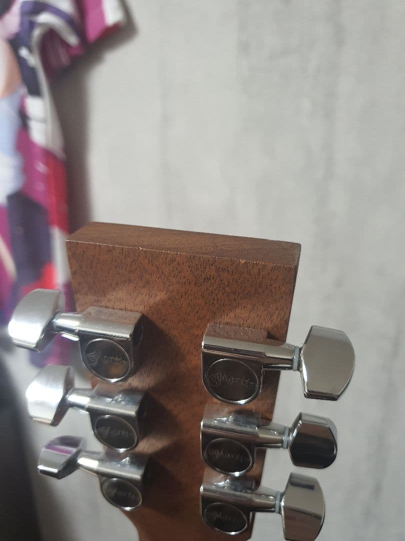 Martin backpacker マーチン バックパッカー