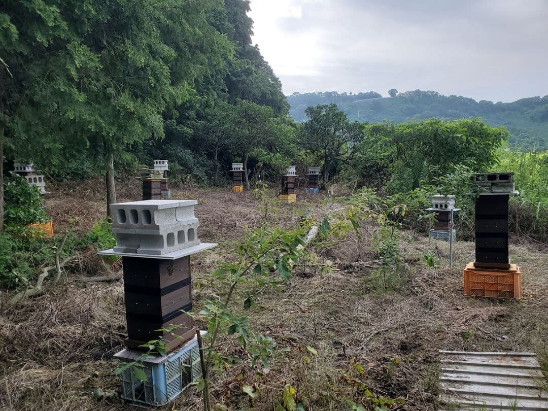 No.7　★日本蜜蜂のはちみつ★1200g(1瓶)