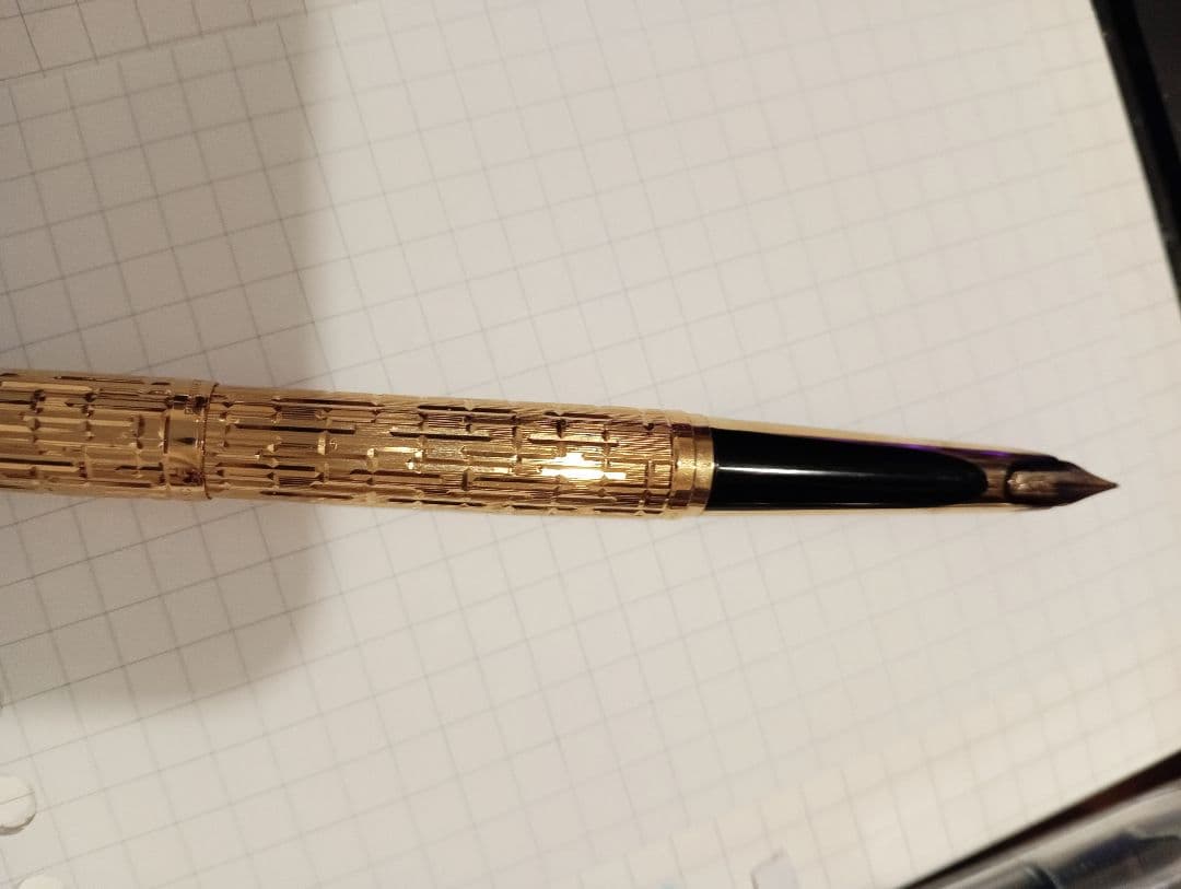 ウォーターマン　cp2 ワニ柄