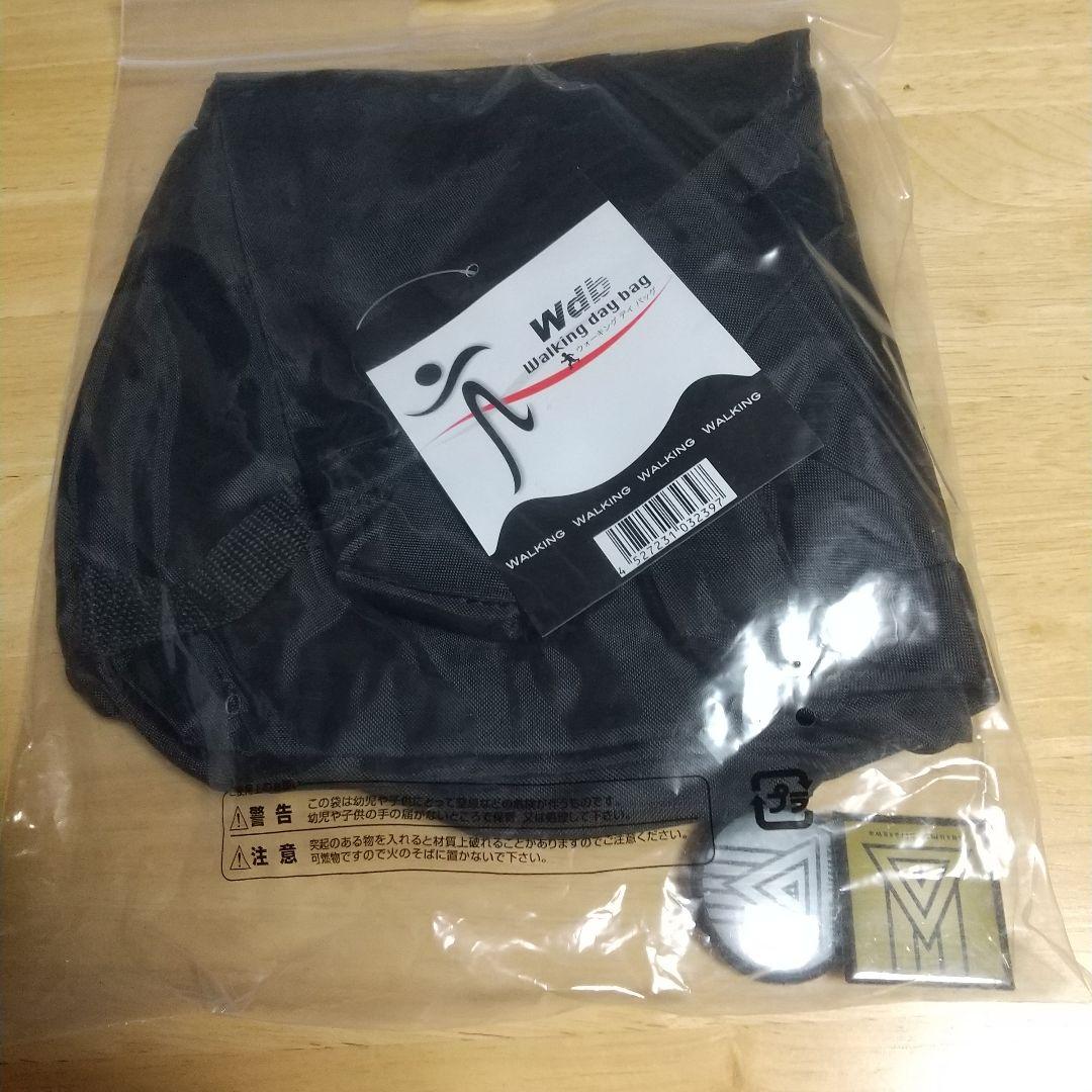 平沢 進 ウォーキングデイバッグ