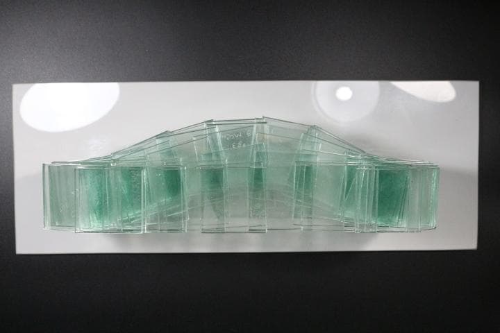 A show of hands William McCoy ガラス オブジェ