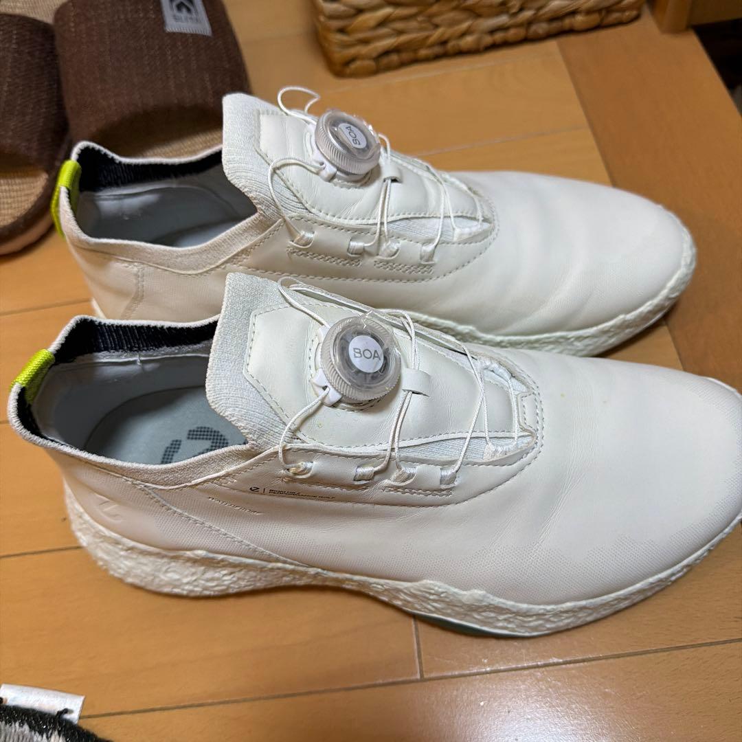 値引エコー最新ゴルフシューズ　ボアシステム