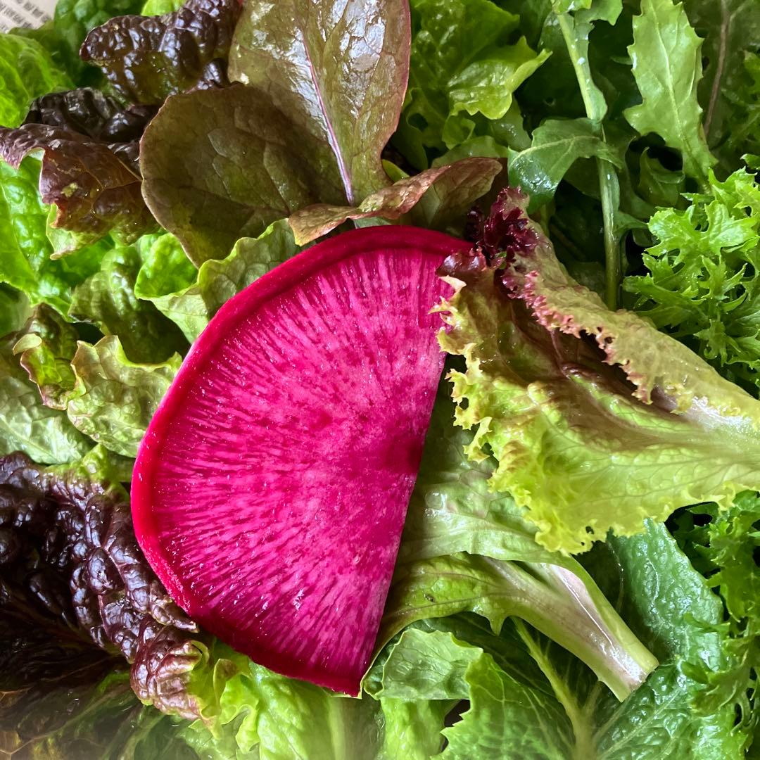 豊かな香り彩のrestaurant salad サラダ野菜詰合せ　金曜発送予定②