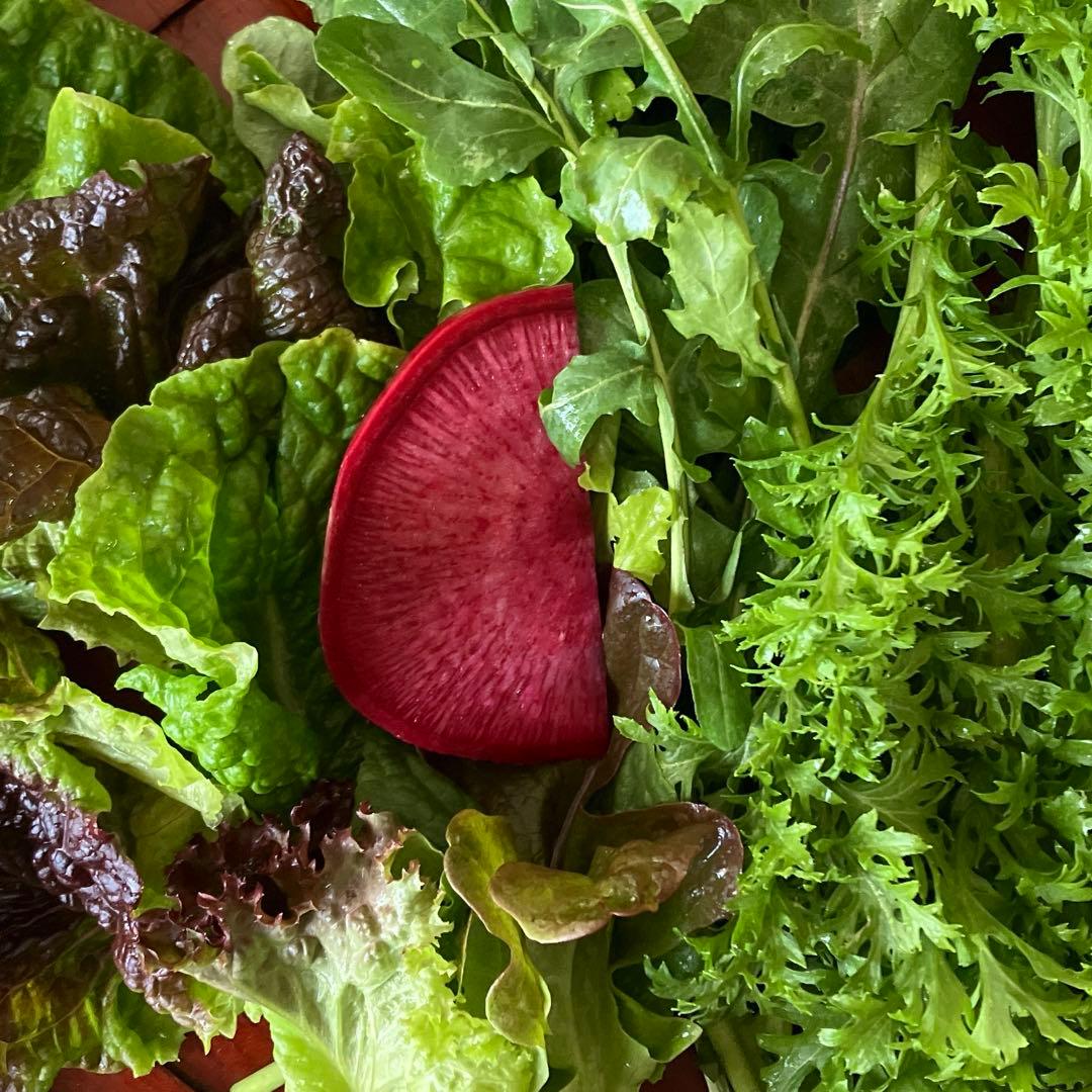 豊かな香り彩のrestaurant salad サラダ野菜詰合せ　金曜発送予定②