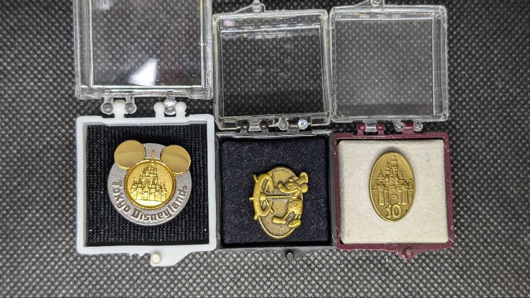 TDL 関係者 キャッスル・勤続1年10年 キャストアワード ピンバッジ セット