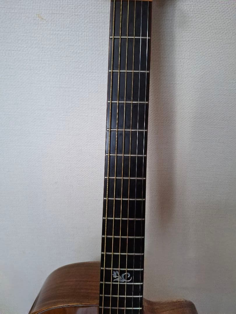 モーリスS101　エレアコ　ケース付き