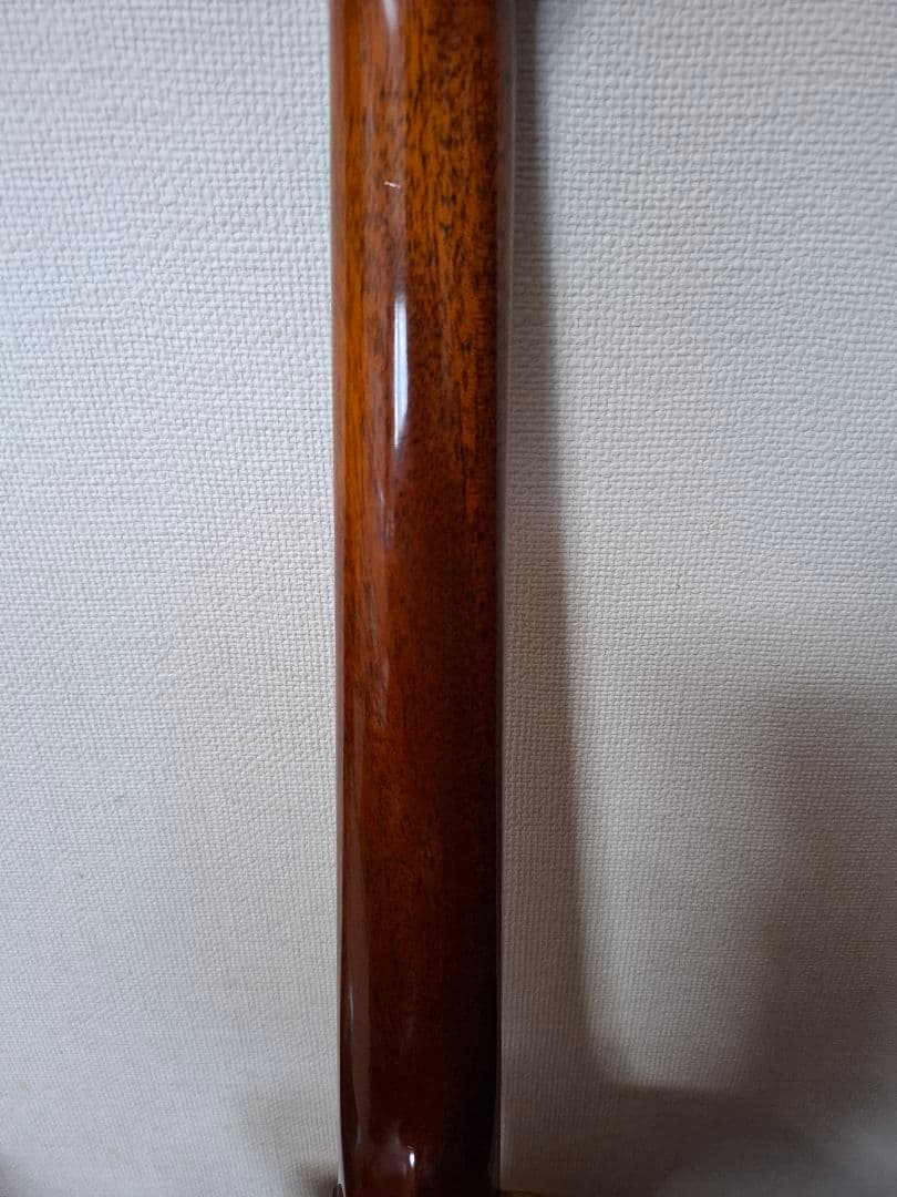 モーリスS101　エレアコ　ケース付き