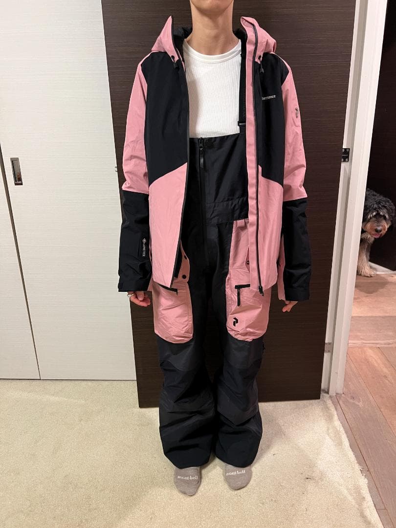 ピークパフォーマンス 女性用スキージャケットサイズM