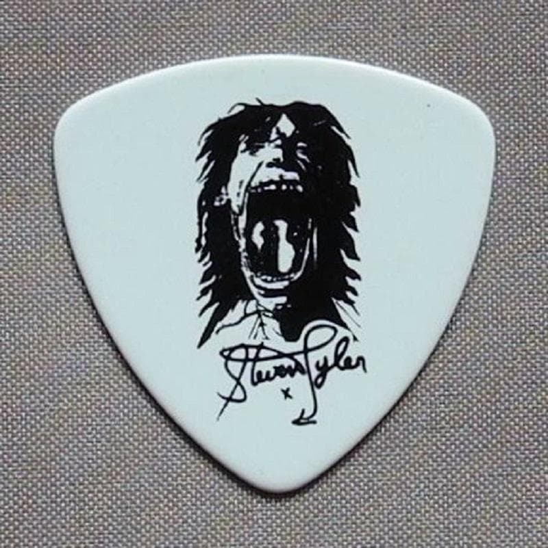 Aerosmith エアロスミス Steven ギターピック