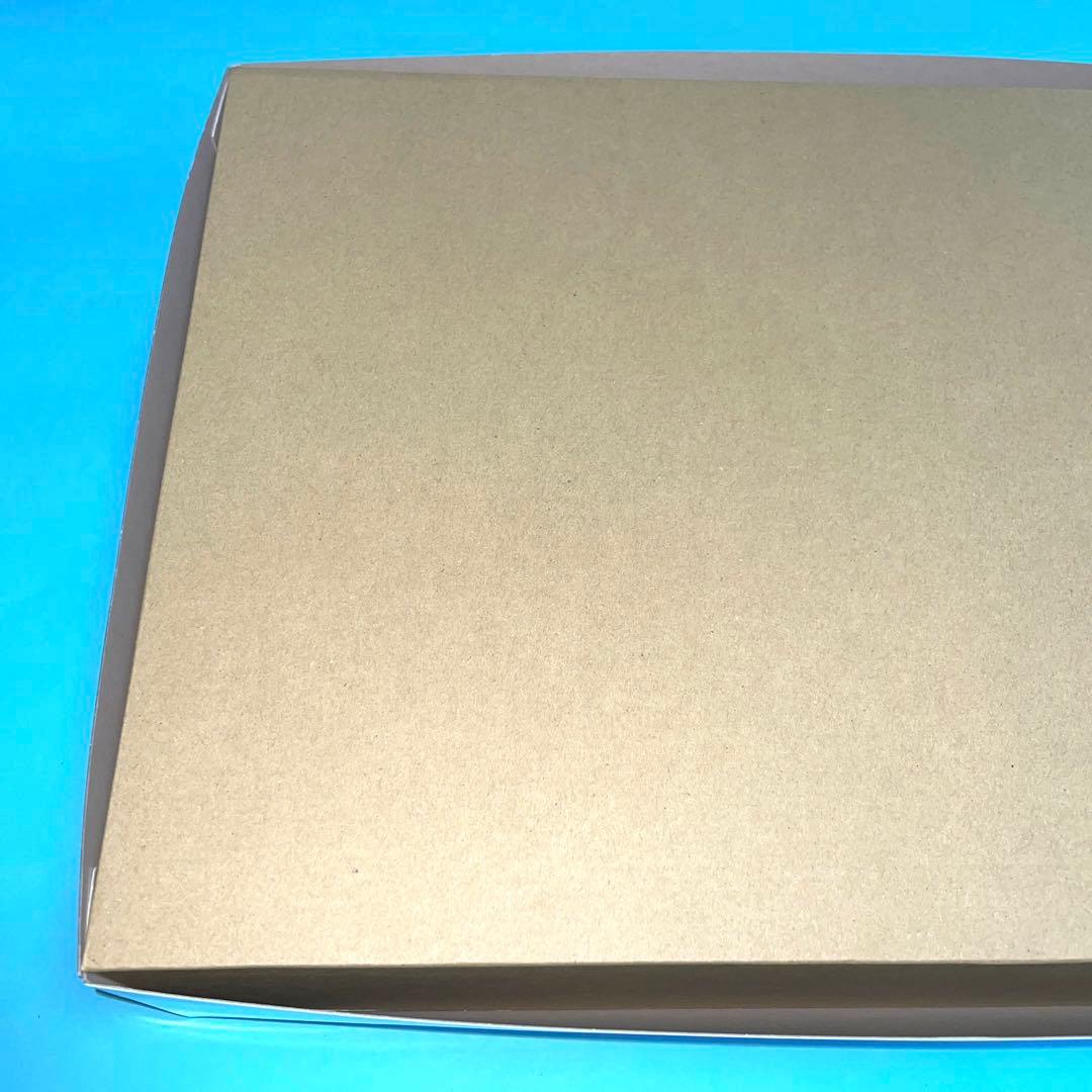 MG 1/100 ガンダムヴァーチェ