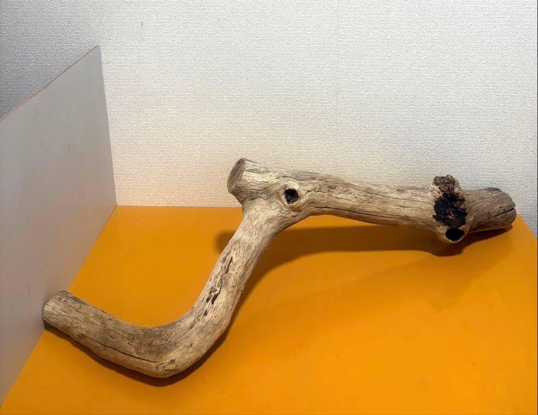 Ｇ39 流木　爬虫類　両生類　小動物シェルター　DIY ハンドメイド　観葉植物