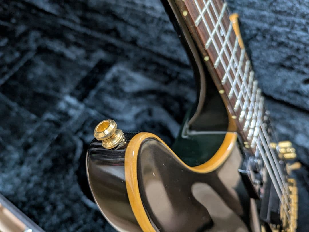 FERNANDES APG 100 24F仕様