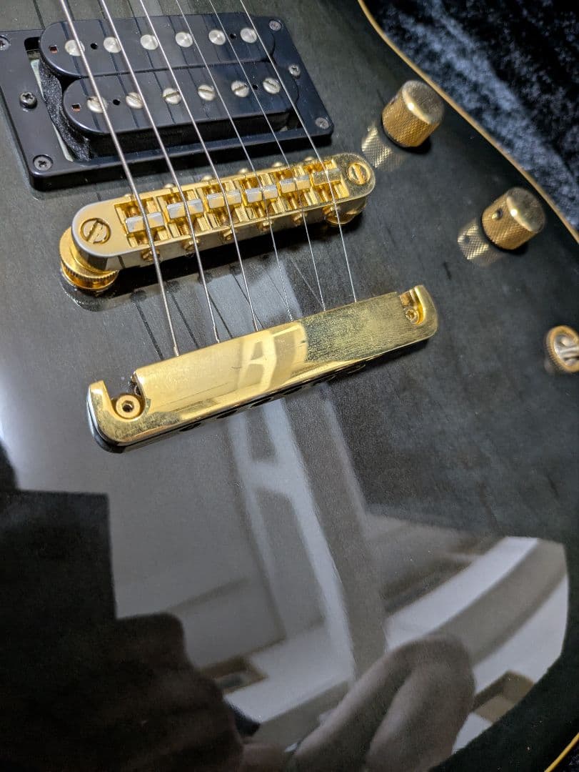 FERNANDES APG 100 24F仕様