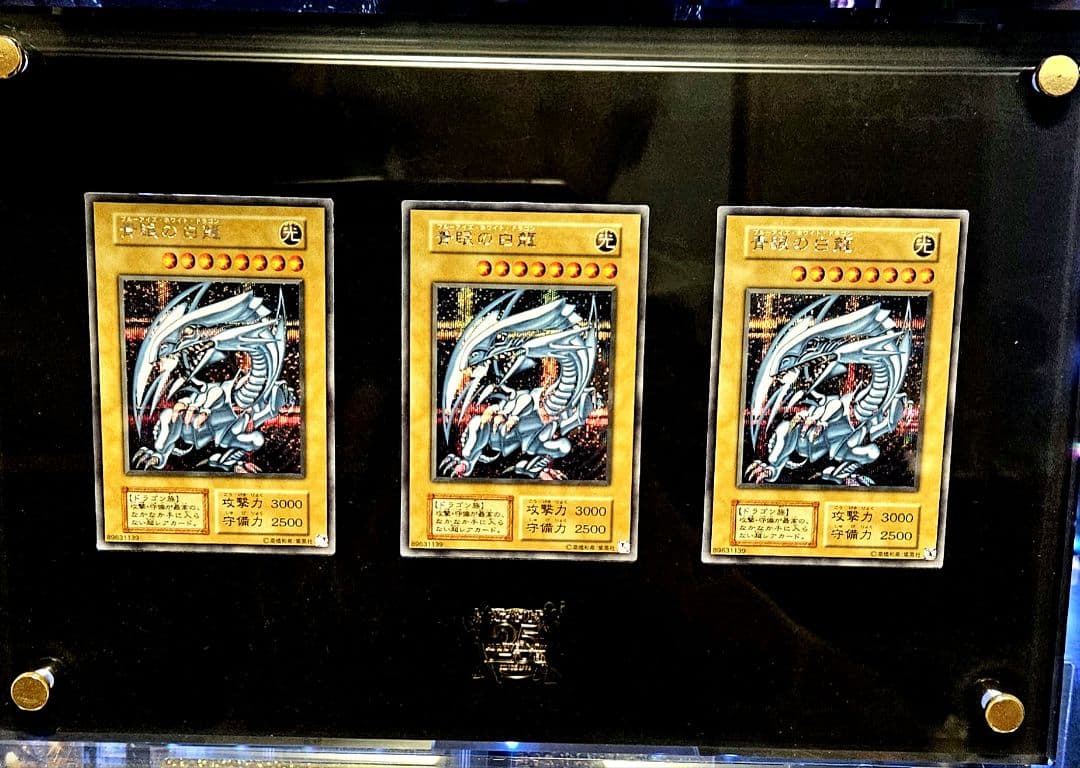 25th 青眼の白龍 シクブル　海馬セット　ブルーアイズホワイトドラゴン　３枚