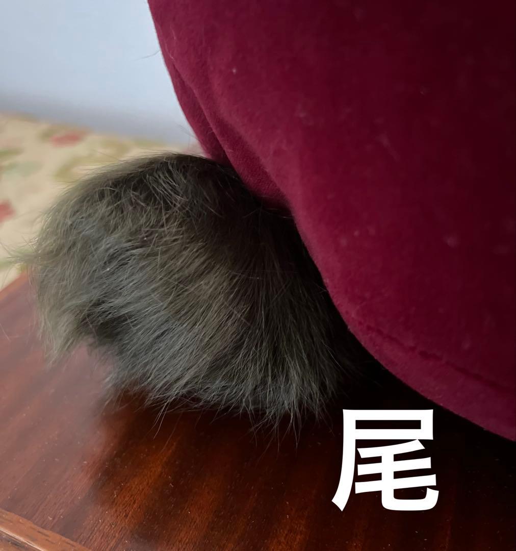 【極希少/ビンテージ】CHIE IMAI テディベア ぬいぐるみ 当時物