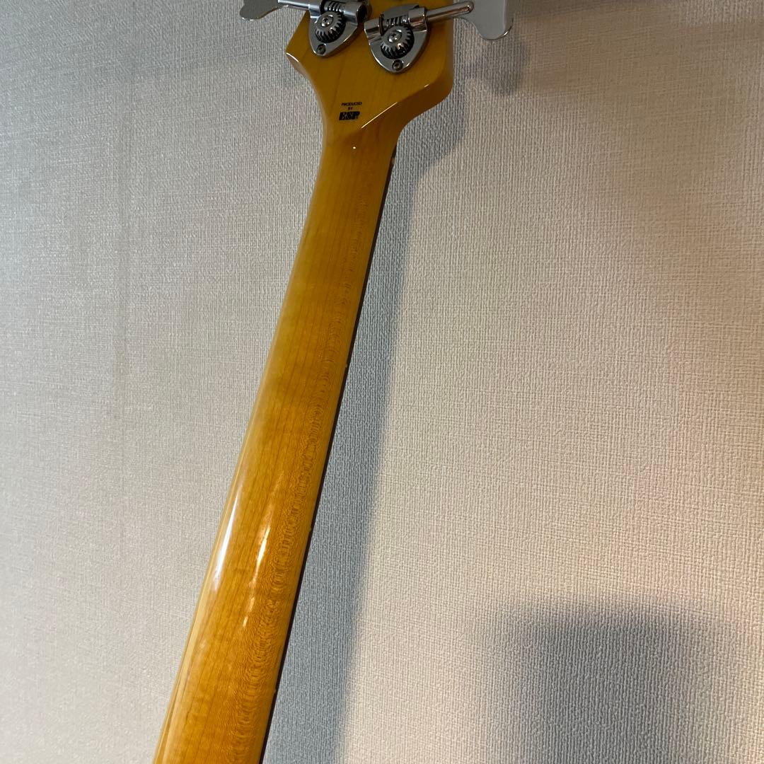 【希少　値下げしました】EDWARDS E-JG-75B　 ジャガーベース