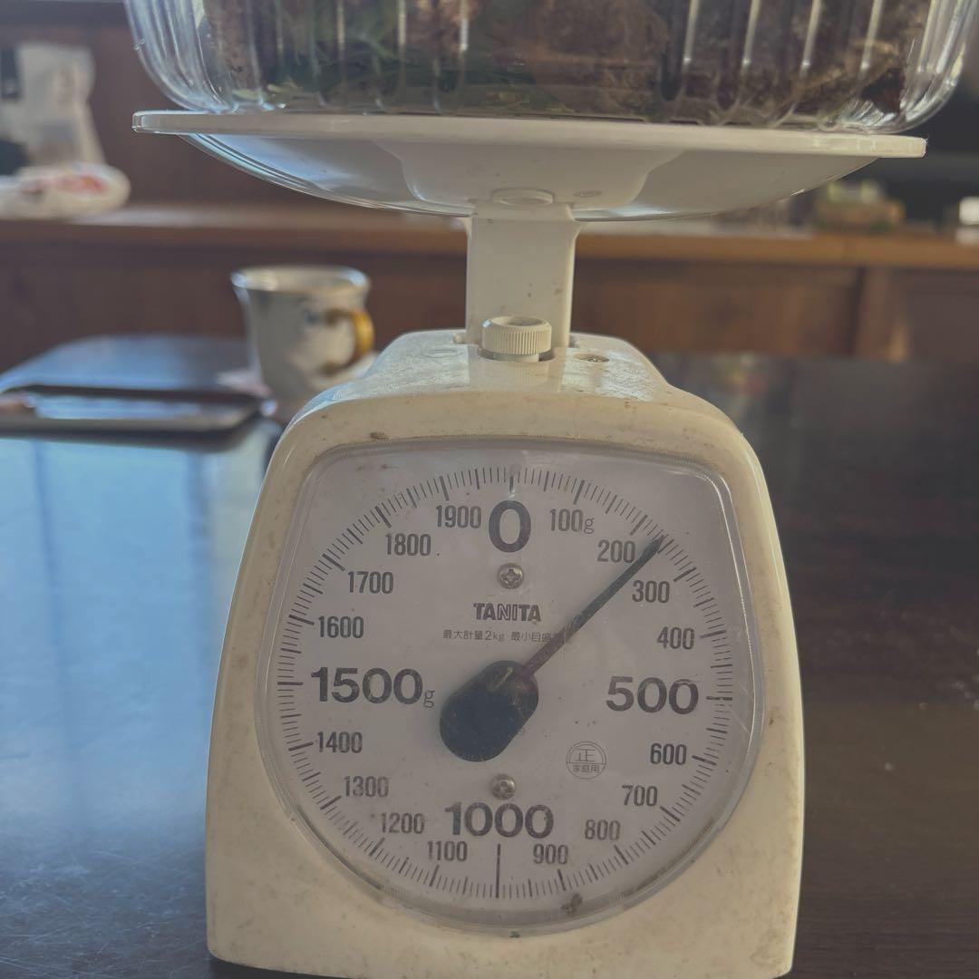 【訳あり】松茸　230g 信州長野県産