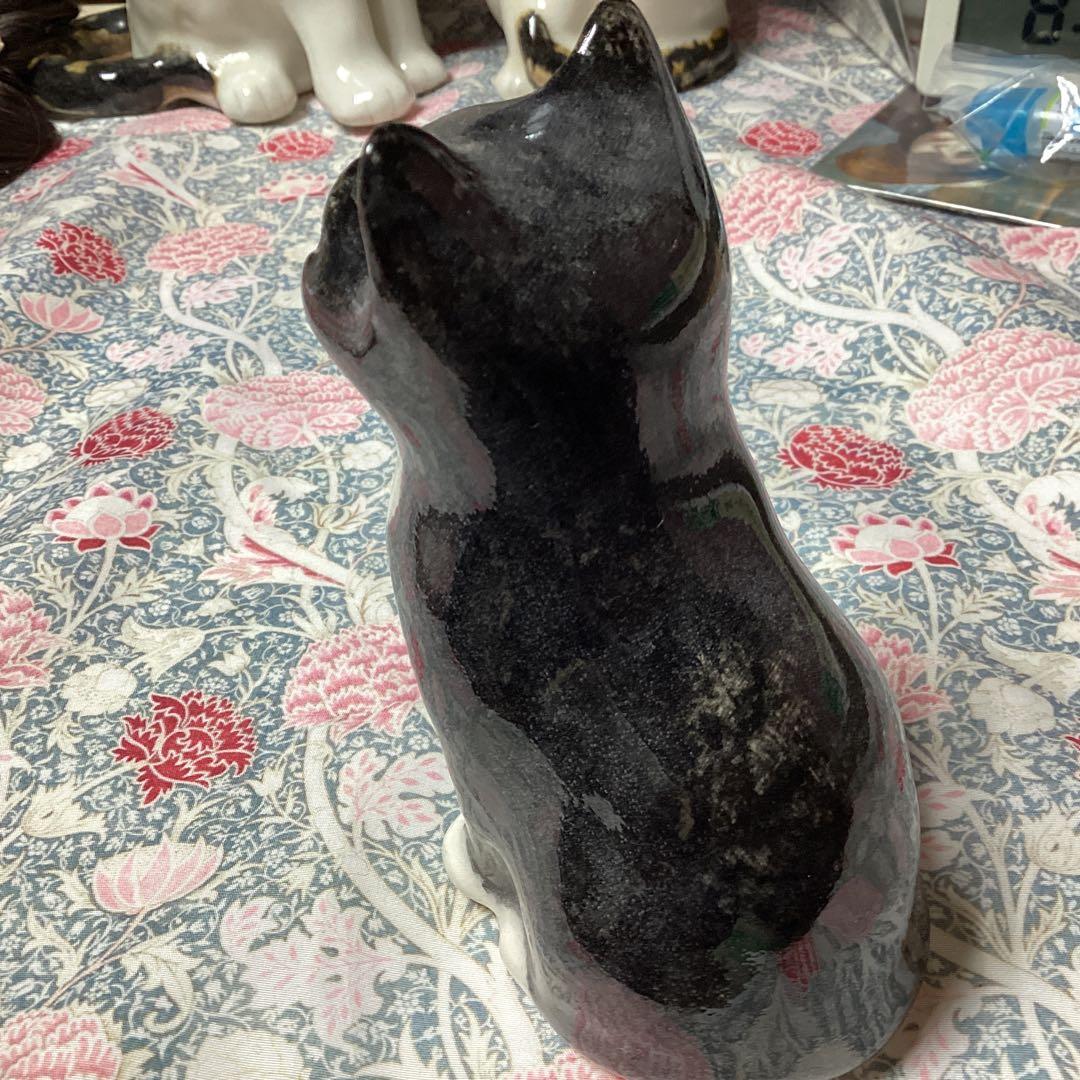 ウィンスタンレイキャット、ケンジントンキャット、お茶目なサイズ1、黒白の貴重な子