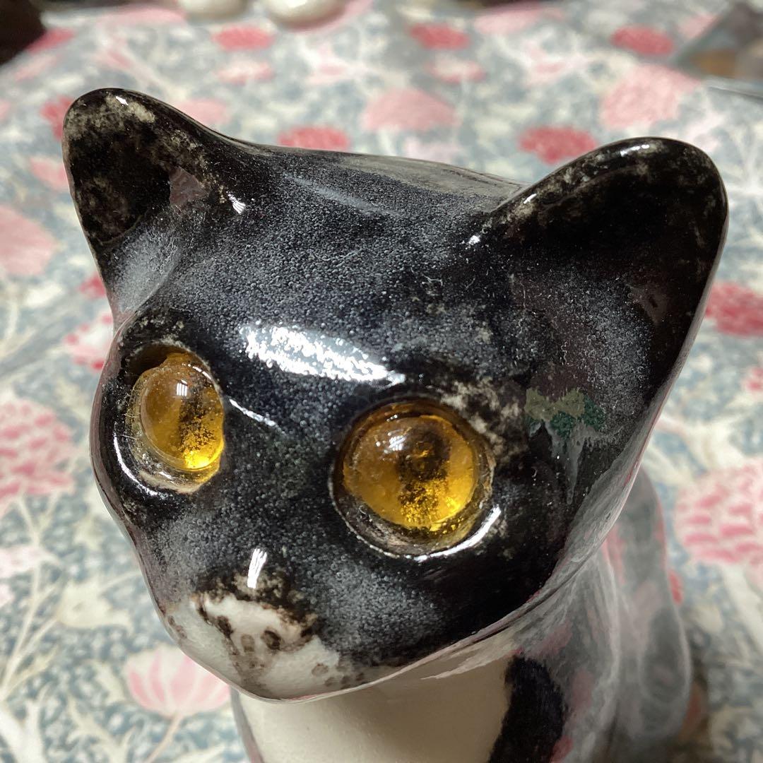 ウィンスタンレイキャット、ケンジントンキャット、お茶目なサイズ1、黒白の貴重な子