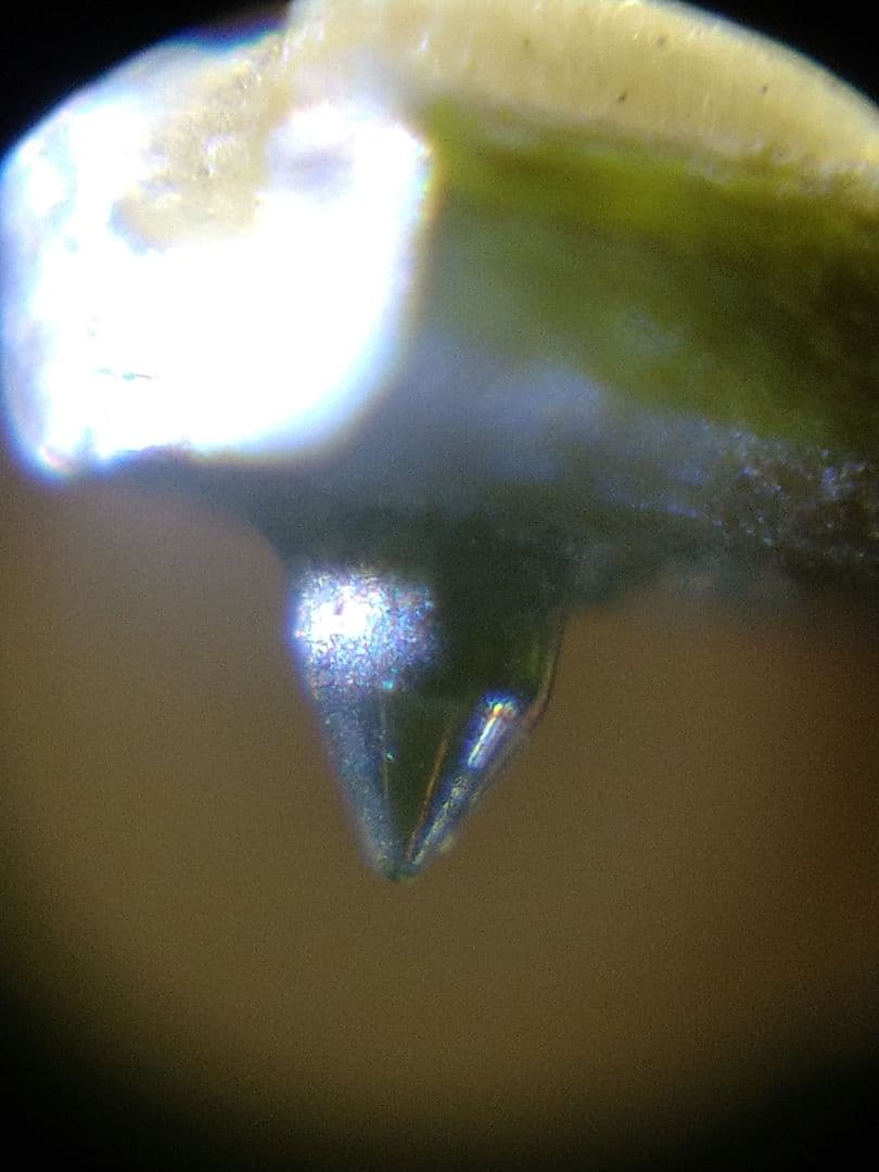 ortofon NIGHT CLUB E　カートリッジ　オルトフォン