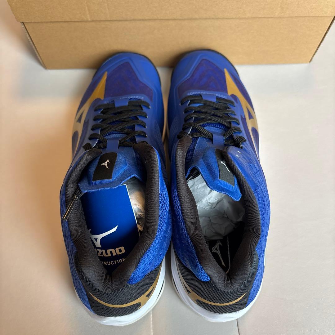 ミズノ バレーボールシューズ 29cm ハイカット